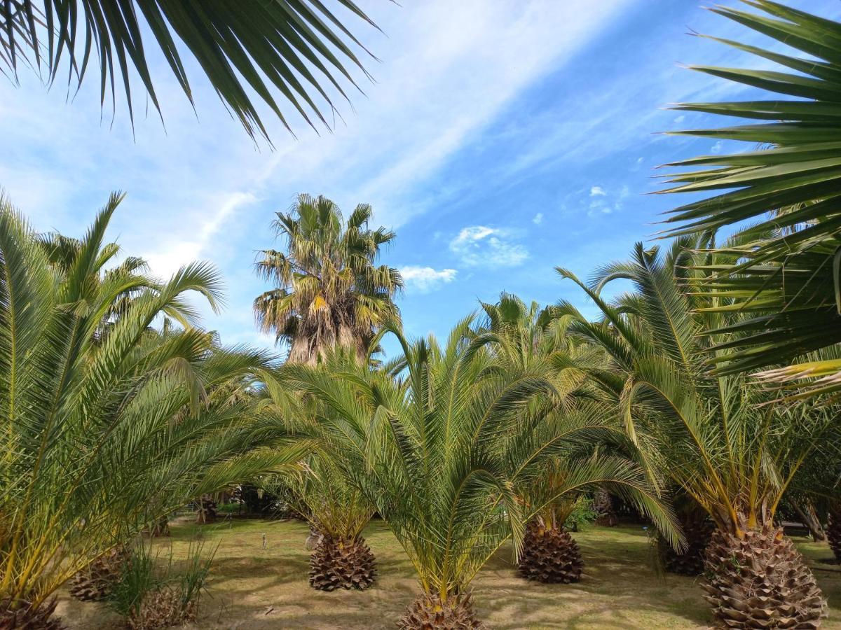 ستيلينبوش The Farmhouse B&B المظهر الخارجي الصورة