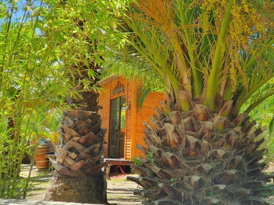 ستيلينبوش The Farmhouse B&B المظهر الخارجي الصورة