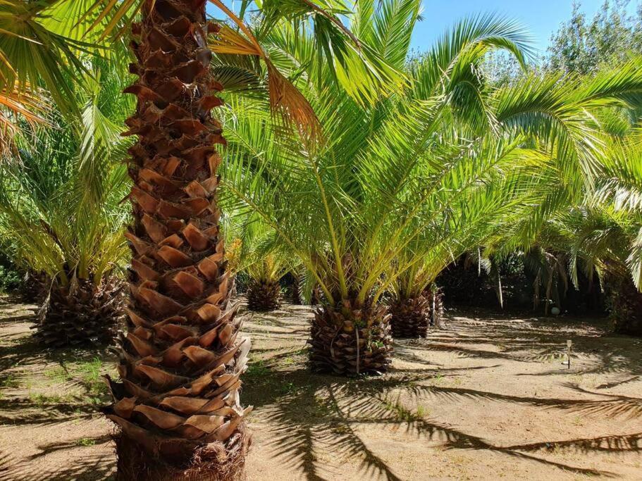 ستيلينبوش The Farmhouse B&B المظهر الخارجي الصورة